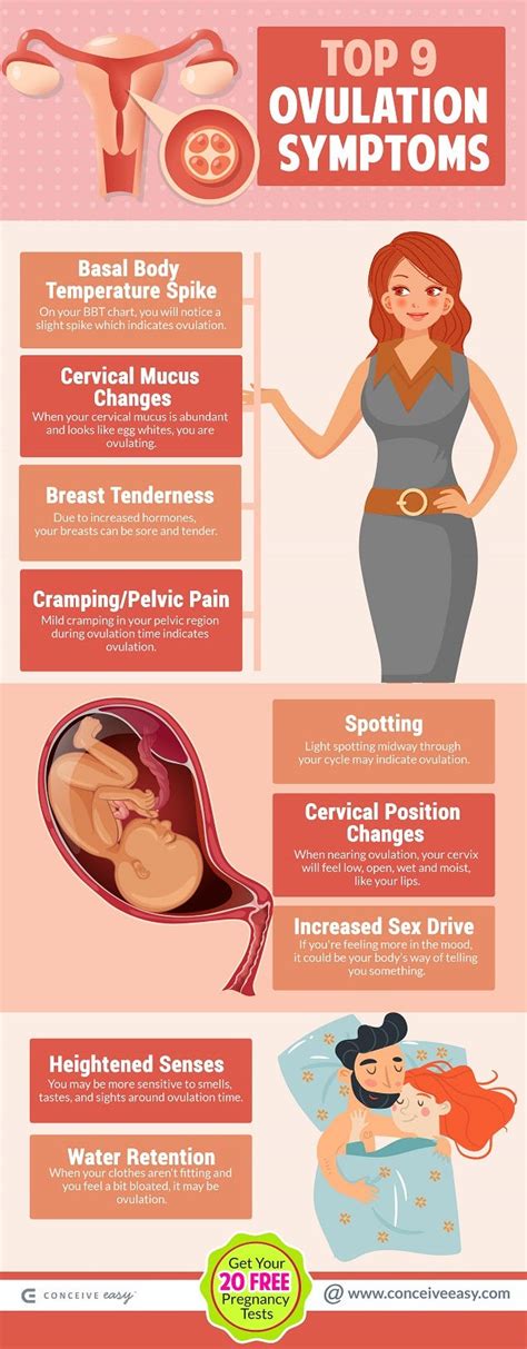 Ovulation symptoms discharge pictures. Things To Know About Ovulation symptoms discharge pictures. 